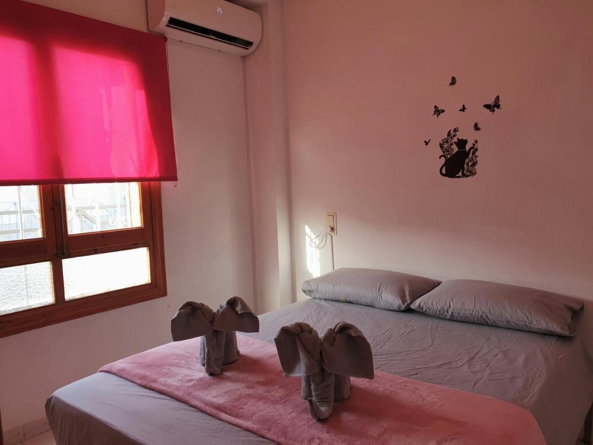 Penthouse Residencial Virginia Apartment ตอร์เรเวียคา ภายนอก รูปภาพ